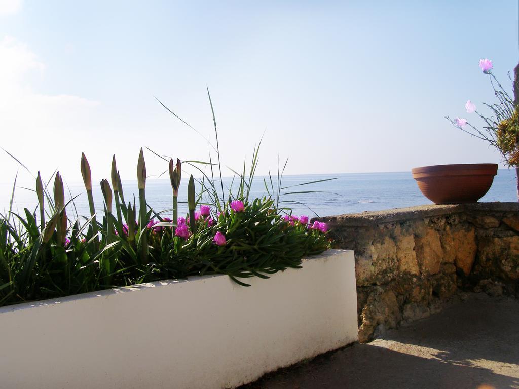 Palastura Apartments Ulcinj Exterior photo